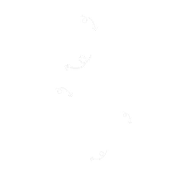 Flowchart of the web app building process